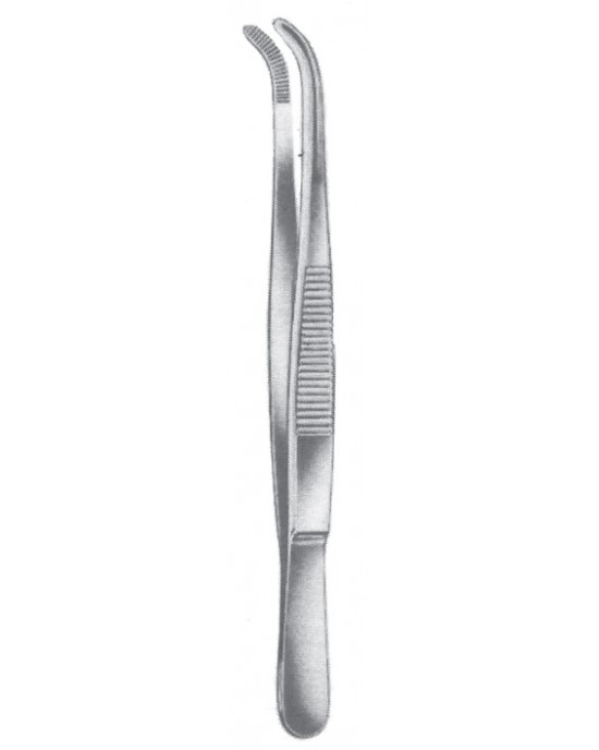 PE 08-2015-20