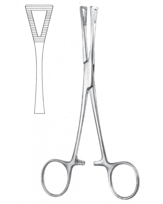 PE 11-2595-20
