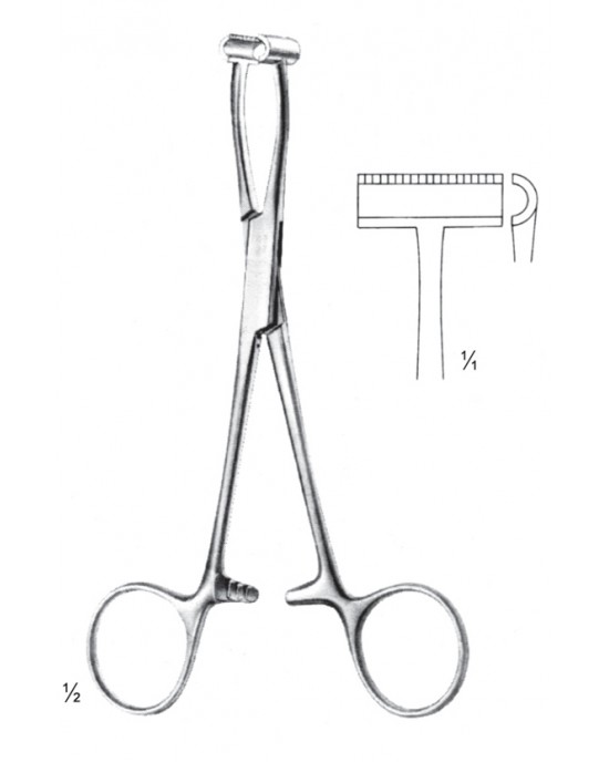 PE 11-2596-15