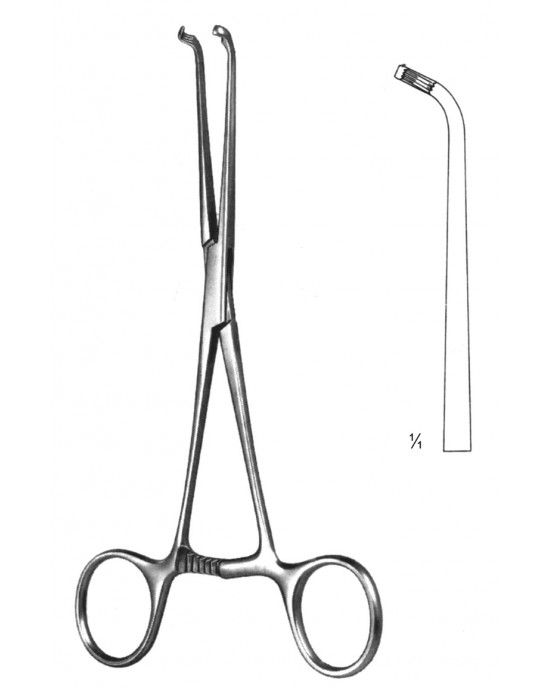 PE 19-5755-18