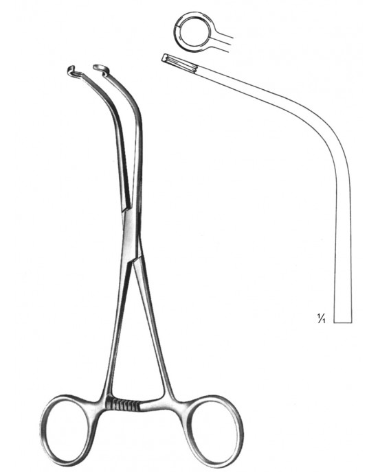 PE 19-5756-19