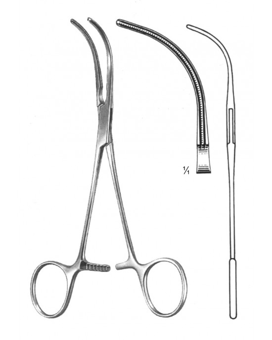 PE 19-5772-16