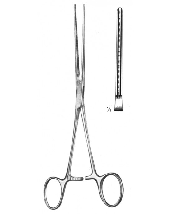 PE 19-5778-15