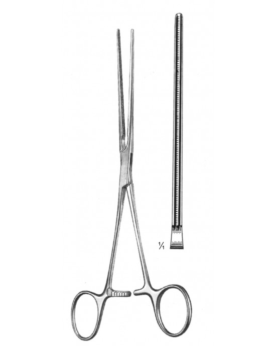 PE 19-5778-18
