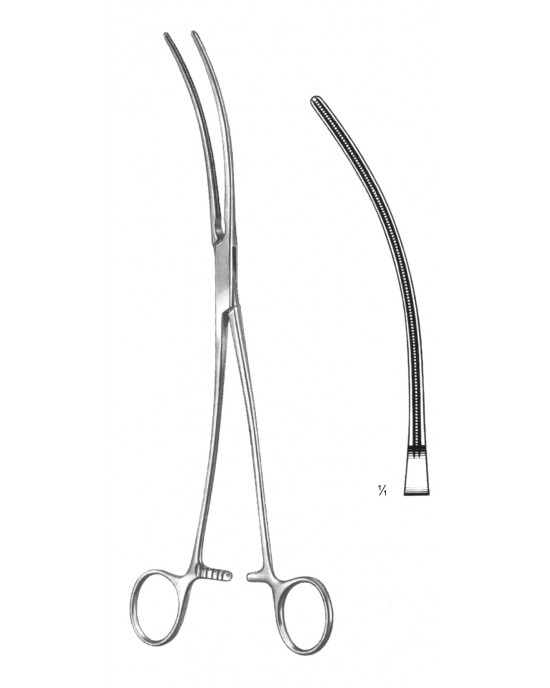 PE 19-5781-26