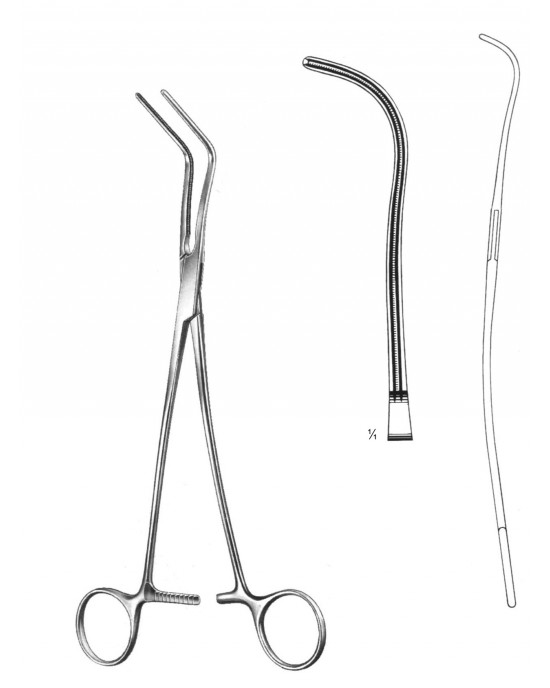 PE 19-5795-01