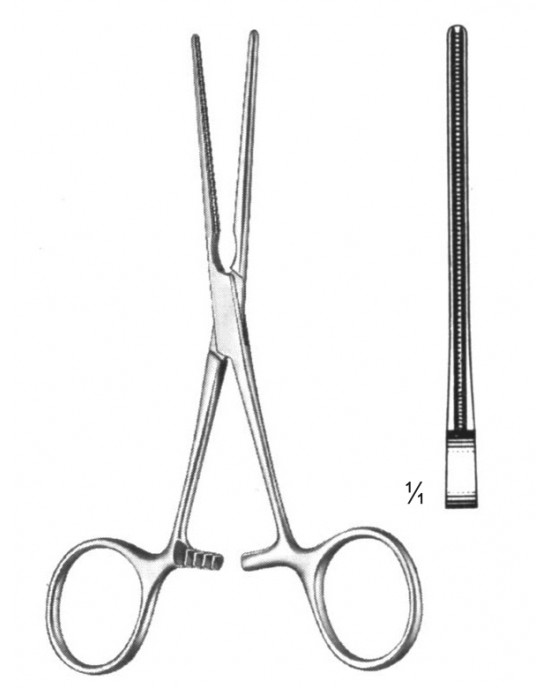 PE 19-5815-13
