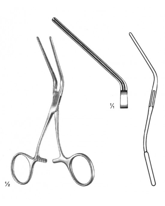 PE 19-5817-12