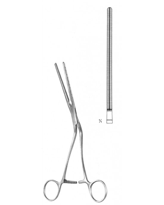 PE 19-5823-22