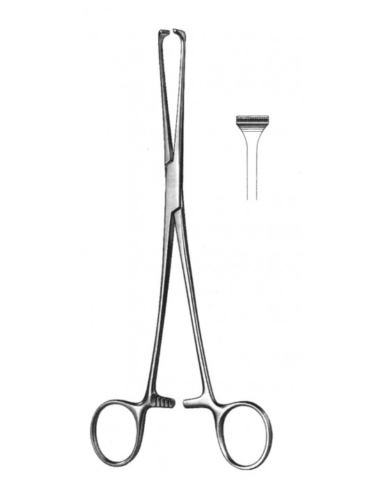 PE 19-5850-20