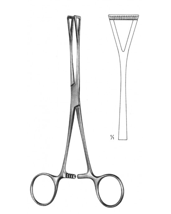 PE 19-5851-18