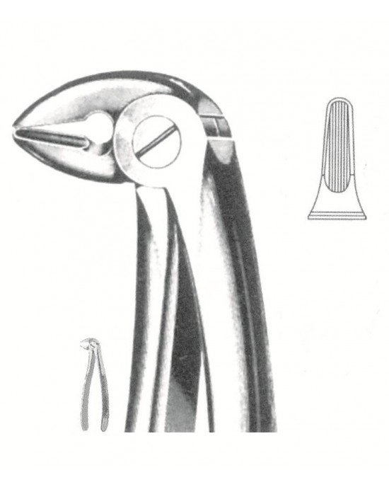 PE-51-1146