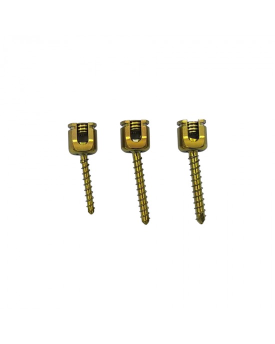 Polyaxial Pedicle Screws